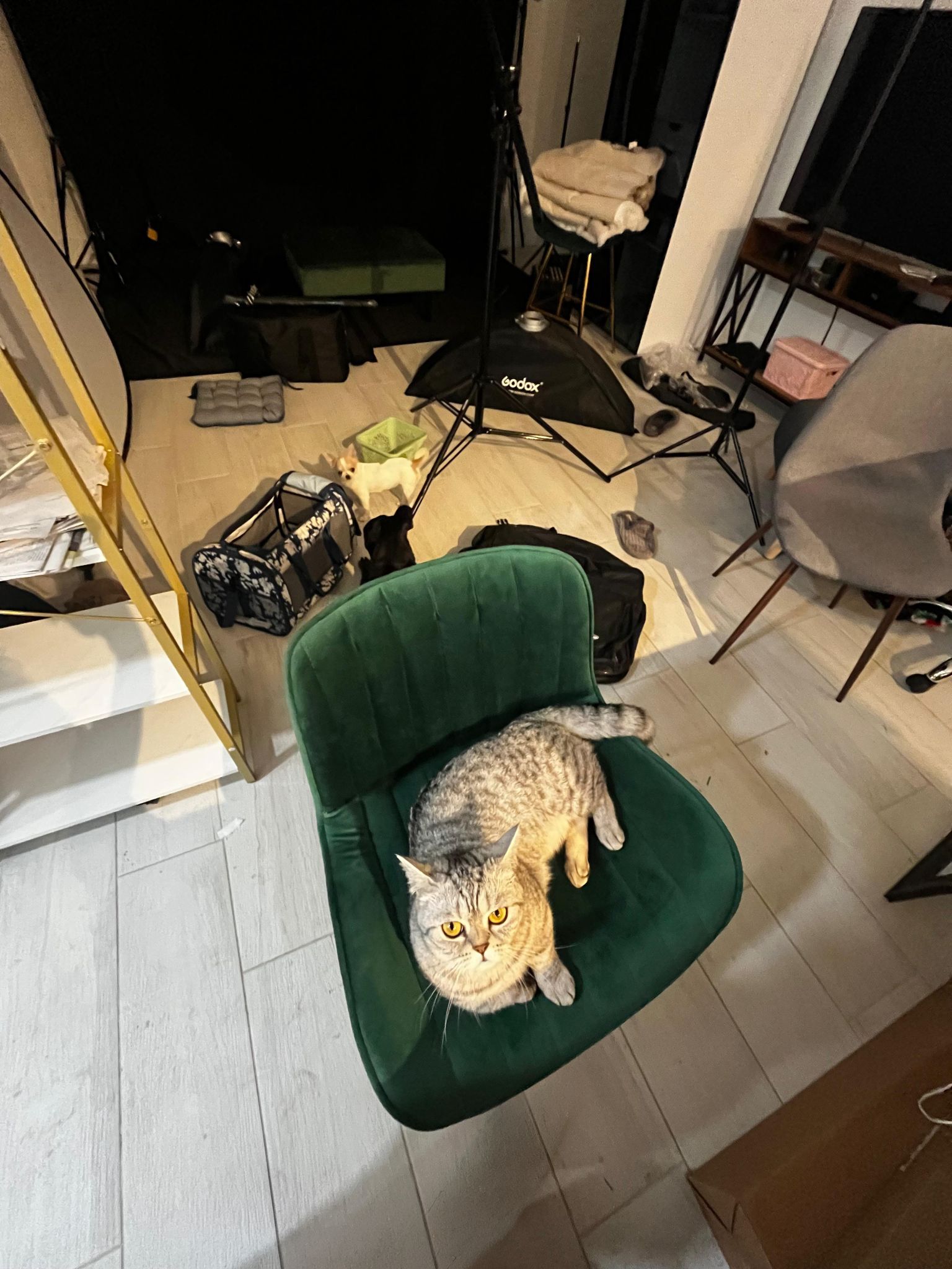studio