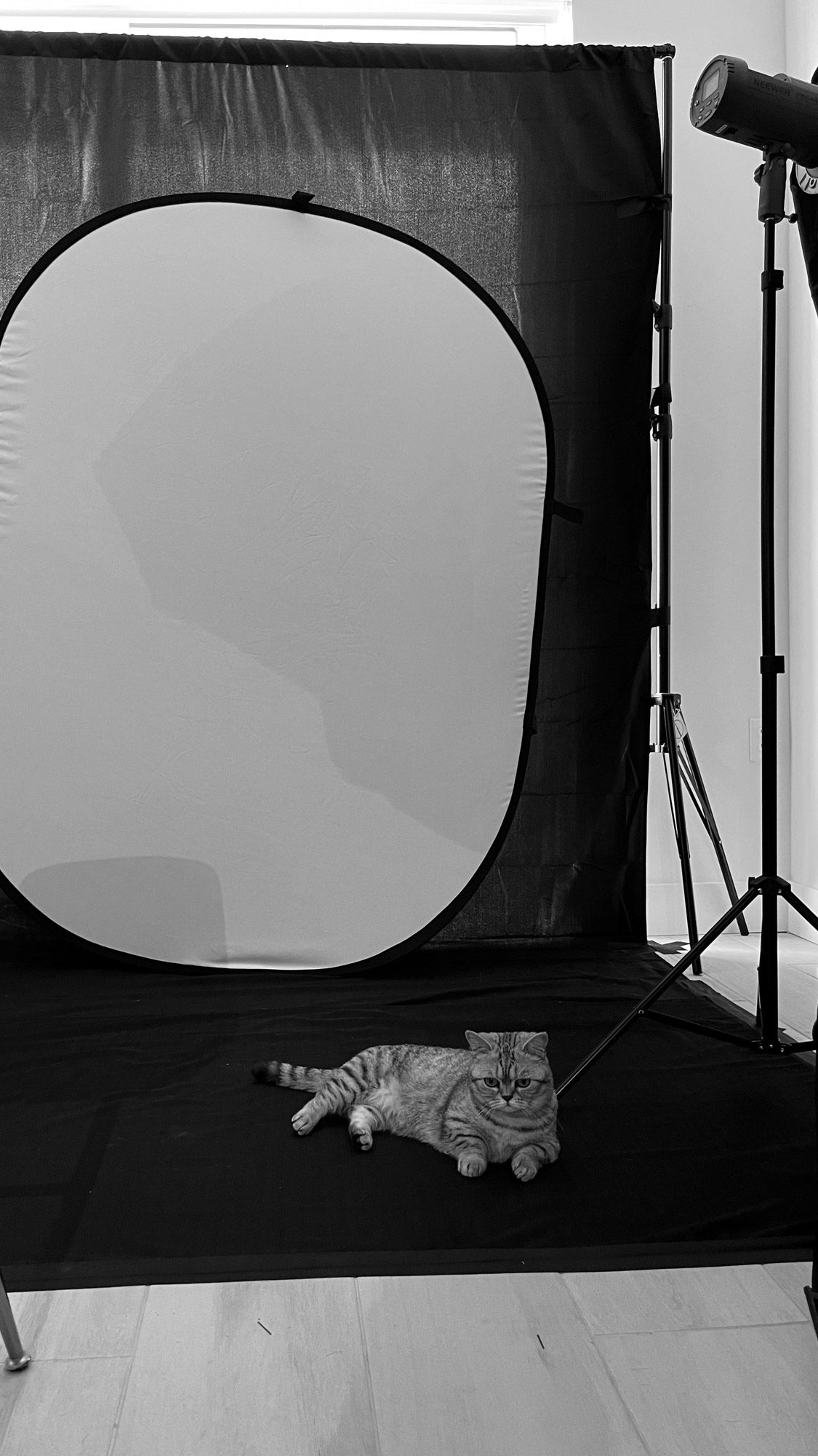 bts-10